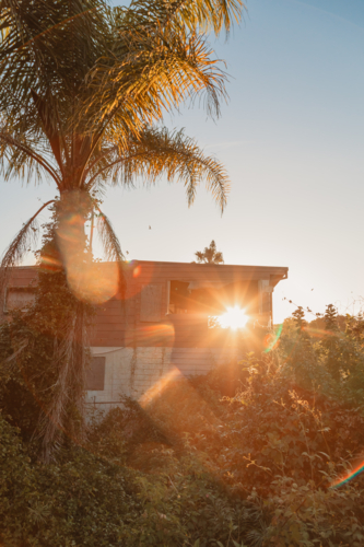 Vibrant sunlight shining through abandoned dilapidated home at Yamba, New South Wales - Australian Stock Image