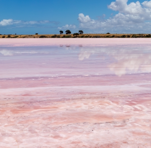 view across bed of pink salt lake - Australian Stock Image