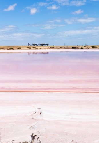view across pink salt lake - Australian Stock Image