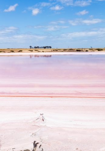 view across pink salt lake
