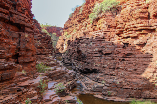 View at the bottom of a remote gorge made of layered red rock - Australian Stock Image