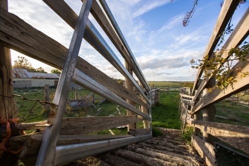 view down a sheep run to a paddock and farm - Australian Stock Image
