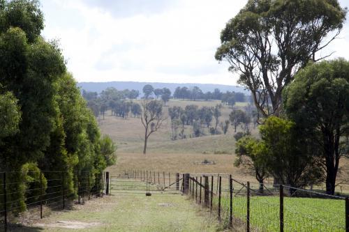 View down the fenceline and into the distance on a rural farm - Australian Stock Image