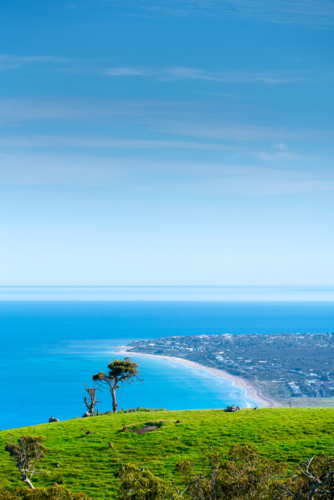 view from a grassy hilltop overlooks the coastline and turquoise sea - Australian Stock Image