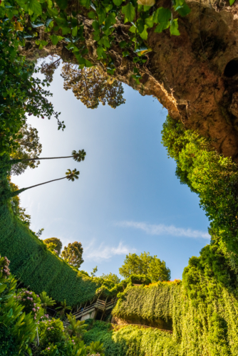 View from the floor of a lush sunken garden, looking up through cliffs and foliage toward the sky. - Australian Stock Image