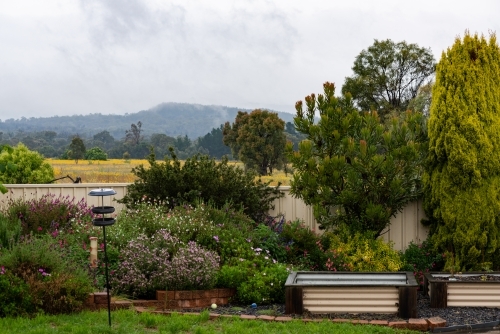 View of backyard garden with fields and misty mountains beyond - Australian Stock Image