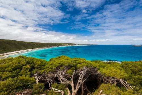 View of coastline with windswept trees in foreground, aqua and blue ocean and dramatic polarised sky - Australian Stock Image