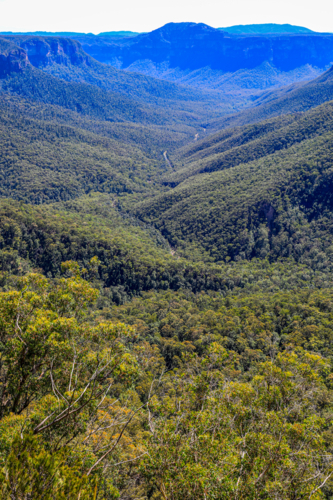 View of Grose Valley from Evans Lookout in the Blue Mountains - Australian Stock Image