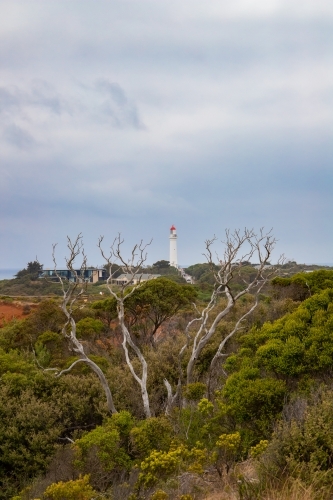 View of lighthouse through woody shrub - Australian Stock Image