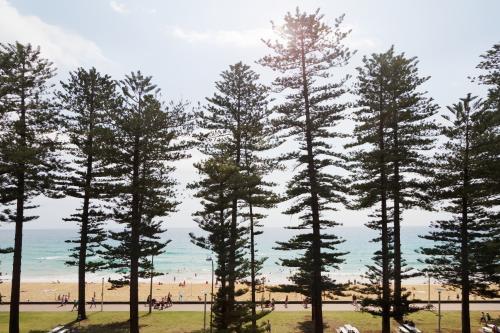 View of Manly surf beach through the pine trees along the beachfront - Australian Stock Image