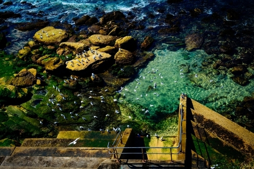 View of seagulls on the water from above - Australian Stock Image