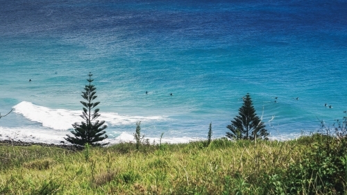 View of surfers from hilltop