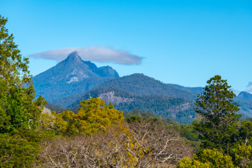 View of Wollumbin (Mount Warning) near Murwillumbah, northern New South Wales - Australian Stock Image
