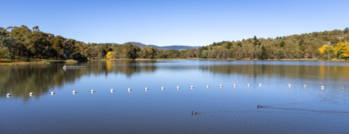 View over calm lake surrounded by trees in Orange, NSW - Australian Stock Image