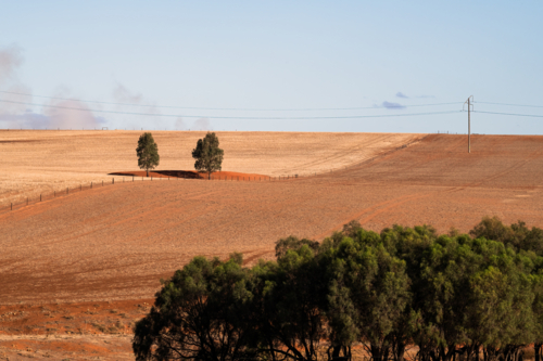 View over dry brown fields, near Clare, South Australia - Australian Stock Image