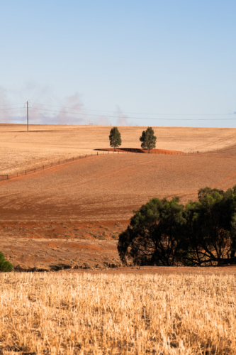 View over dry brown fields, near Clare, South Australia - Australian Stock Image