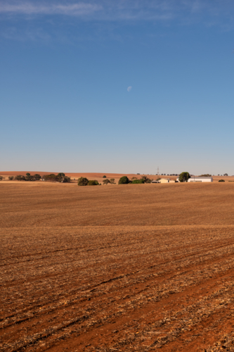 View over dry brown fields, near Clare Valley, South Australia - Australian Stock Image
