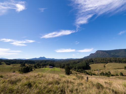 View over grassy paddocks and trees towards Mount Warning - Australian Stock Image