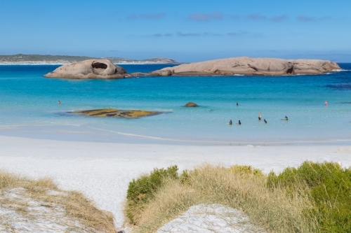 View overlooking sand dunes of swimmers enjoying the beach - Australian Stock Image