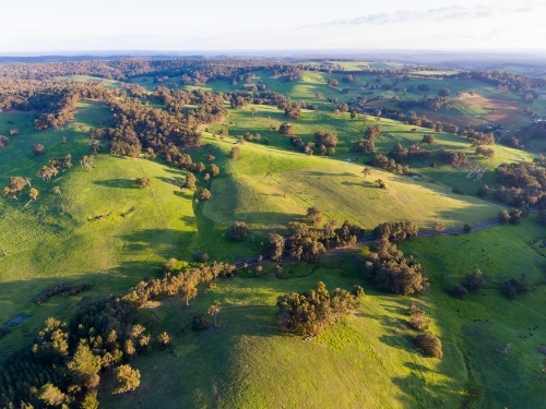 view over undulating verdant landscape punctuated by trees - Australian Stock Image