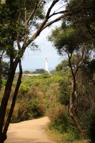 View through trees to lighthouse - Australian Stock Image