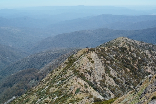 View toward Mansfield from West Ridge trail, Mt Buller - Australian Stock Image