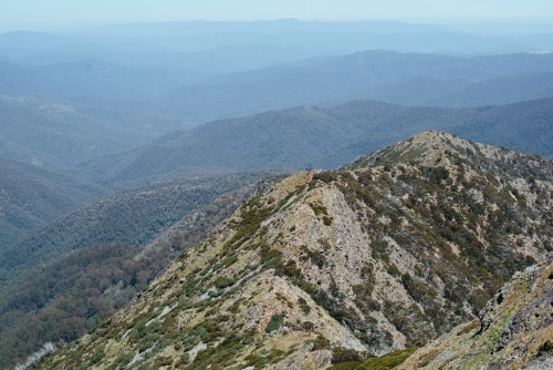 View toward Mansfield from West Ridge trail, Mt Buller