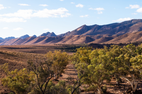 View towards mountain ranges in Flinders Ranges, South Australia - Australian Stock Image