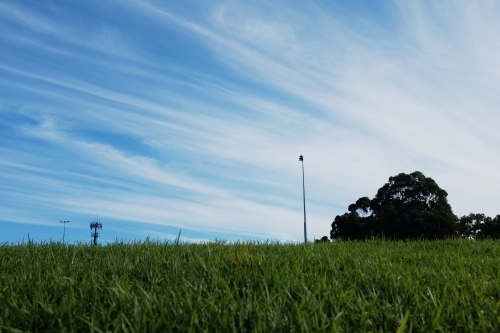 View up a grassy hill - Australian Stock Image