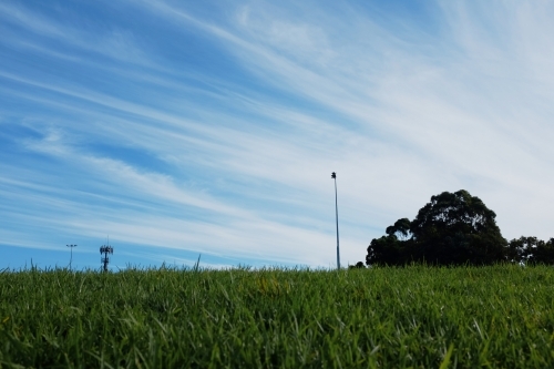 View up a grassy hill