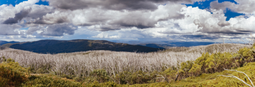 Views from Boundary Hut Trail near Lake Mountain on a clear summer's day, near Marysville, Victoria, - Australian Stock Image