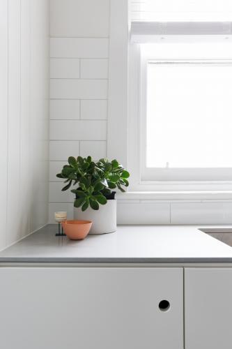 Vignette of pot plant and ornaments on classic kitchen benchtop