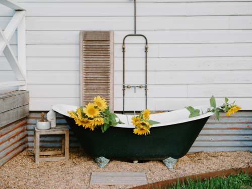Vintage clawfoot bathtub decorated with sunflowers outdoors - Australian Stock Image