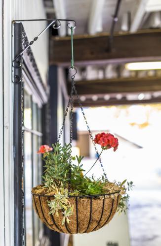 Vintage Hanging basket with red flower - Australian Stock Image