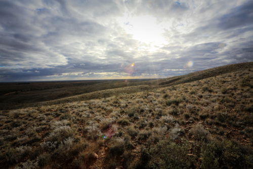 Vivid sunlight on the Mundi Mundi - Australian Stock Image