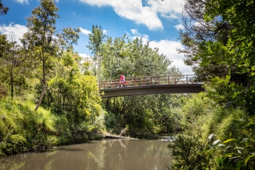 Walking dog over pedestrian bridge - Australian Stock Image