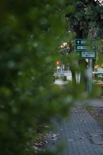 Walking down the tree lined street in Adelaide - Australian Stock Image