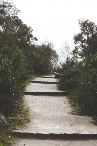 Walking path and steps to the beach