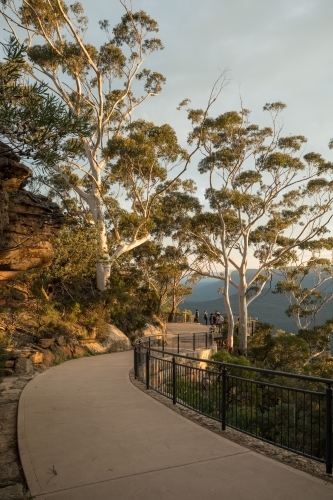 Walking path in bushland with safety fence, gumtrees and distant walkers