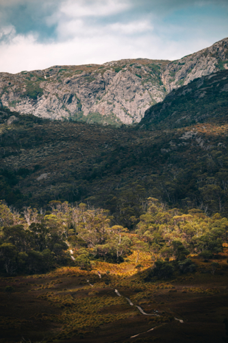 Walking path leading to forested hills and steep, rocky mountains - Australian Stock Image