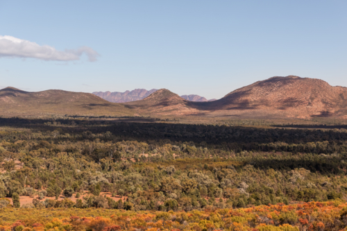 Wangara Lookout at Wilpena Pound, Flinders Ranges, South Australia - Australian Stock Image