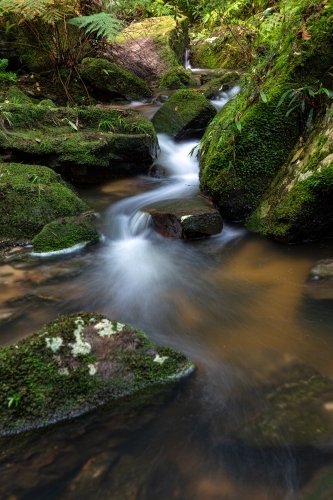 Water cascading down the gully in and around thick mossy rocks and lush ferns - Australian Stock Image