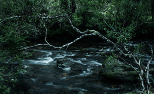 water flowing over rocks in peaceful stream framed by tree branch - Australian Stock Image