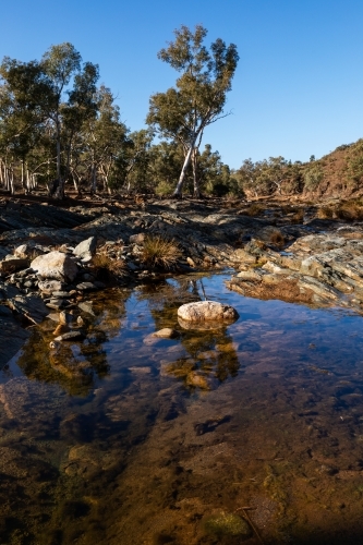 water in gum lined outback creek