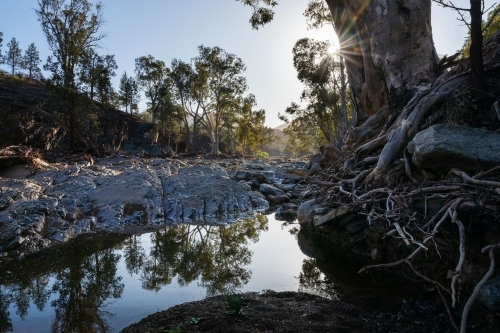 water in gum lined outback creek - Australian Stock Image