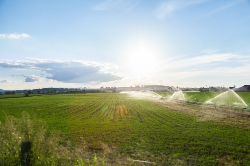 Water spray from farm irrigation system at sunset - Australian Stock Image