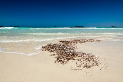 Water washing on to weed on sandy beach with aqua ocean waves and deep blue sky above horizon - Australian Stock Image