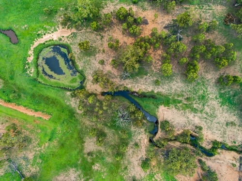 Watercourse and dam with green water weed and grass growing - Australian Stock Image