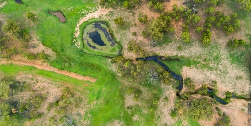 Watercourse and dam with green water weed and grass growing - Australian Stock Image