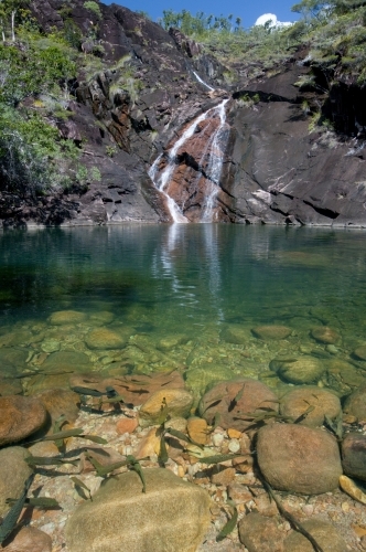 waterfall and pool with fish in foreground - Australian Stock Image